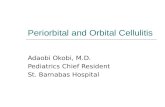 Periorbital and Orbital Cellulitis Adaobi Okobi, M.D. Pediatrics Chief Resident St. Barnabas Hospital