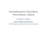 Hemodynamic Disorders, Thrombosis, Shock Matthew Velkey matt.velkey@duke.edu 454A Davison, Duke South, Green Zone.