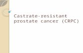 Castrate-resistant prostate cancer (CRPC). disease progression despite androgen depletion therapy (ADT) present as : 1. continuous rise in PSA 2. progression.