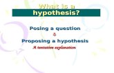 What is a hypothesis? Posing a question  Proposing a hypothesis A tentative explanation.