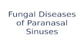 Fungal Diseases of Paranasal Sinuses. Classification Non invasive fungal rhinosinusitis. –Allergic fungal rhinosinusitis –Mycetoma Invasive fungal rhinosinusitis.