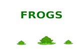 FROGS. Seven kinds of frogs live in Nova Scotia.