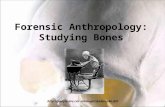 Forensic Anthropology: Studying Bones mclaugh/skeleton8a.GIF.