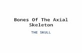 Bones Of The Axial Skeleton THE SKULL. Figure 7.1a Skull Thoracic cage (ribs and sternum) (a) Anterior view Facial bones Cranium Sacrum Vertebral column.