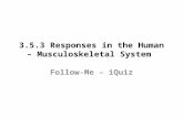 3.5.3 Responses in the Human – Musculoskeletal System Follow-Me – iQuiz.