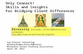 Only Connect! Skills and Insights For Bridging Client Differences Sue Plaster Consulting Building Bridges Across Differences Minnesota Career Planning.