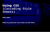 Using CSS (Cascading Style Sheets) Effie Nadiv Edited by permission from author by Amir Kirsh.