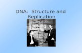 DNA: Structure and Replication. Two Types of Nucleic Acids Nucleic Acids: carry the genetic instructions for all life Nucleic Acid Stands forType of Sugar.