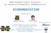 Web-based Class Project on Geoenvironmental Remediation Report prepared as part of course CEE 549: Geoenvironmental Engineering Winter 2013 Semester Instructor: