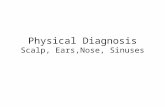 Physical Diagnosis Scalp, Ears,Nose, Sinuses. Describe Scalp. Diagnosis?