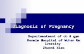 Diagnosis of Pregnancy Departmentment of ob & gyn Renmin Hospital of Wuhan University Zhuoni Xiao.