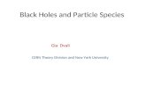 Black Holes and Particle Species Gia Dvali CERN Theory Division and New York University.