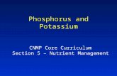 Phosphorus and Potassium CNMP Core Curriculum Section 5 – Nutrient Management
