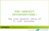 PRE-HARVEST INTERVENTIONS: The cost benefit ratio of E. coli vaccines.