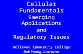 Cellular Fundamentals Emerging Applications and Regulatory Issues Bellevue Community College Bob Young, Instructor.