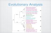 Evolutionary Analysis. Tree Mathematical structure Model evolutionary history.