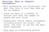 Overview: They’re (Almost) Everywhere! Most prokaryotes are microscopic, but what they lack in size they make up for in numbers There are more in a handful.