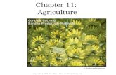 Chapter 11: Agriculture Copyright © 2012 John Wiley & Sons, Inc. All rights reserved. © Barbara Weightman Concept Caching: Banana Production-Malaysia.
