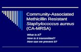 Community-Associated Methicillin Resistant Staphylococcus aureus (CA-MRSA) What is it ? How is it transmitted? How can we prevent it?