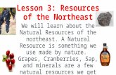 Lesson 3: Resources of the Northeast We will learn about the Natural Resources of the northeast. A Natural Resource is something we use made by nature.