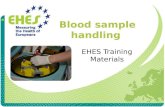 Blood sample handling EHES Training Materials. Equipment Centrifuge Empty tubes for re- centrifugation (only needed if gel serum tubes are used) Storage.