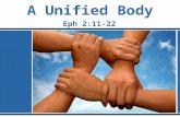 A Unified Body Eph 2:11-22. A Unified Body Skilurus offered his 80 children a bundle of darts.
