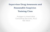 Supervisor Drug Awareness and Reasonable Suspicion Training Class Puiggari & Associates Consulting Services, PLLC Fall 2013 1.