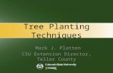 Tree Planting Techniques Mark J. Platten CSU Extension Director, Teller County.