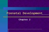 Prenatal Development Chapter 2. Biological Beginnings: Conception Ova are released from the ovaries and travel down the fallopian tubes, where conception.