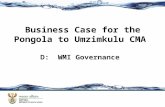Business Case for the Pongola to Umzimkulu CMA D: WMI Governance.