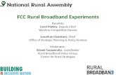 FCC Rural Broadband Experiments Panelists: Carol Mattey, Deputy Chief Wireline Competition Bureau Jonathan Chambers, Chief Office of Strategic Planning.