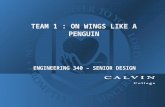 TEAM 1 : ON WINGS LIKE A PENGUIN ENGINEERING 340 – SENIOR DESIGN.