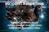 Morbidity & Mortality RoundsMorbidity & Mortality Rounds Catriona MacPhail, DVM, PhD, DAVCSCatriona MacPhail, DVM, PhD, DAVCS Small Animal Chief Medical.