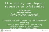 Rice policy and impact research at AfricaRice Aliou Diagne Program Leader, Policy and Impact Assessment Africa Rice Center (AfricaRice) AfricaRice Side.