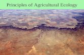 Principles of Agricultural Ecology. The Six Commandments of Theoretical Agriculture Thou shalt steal land from a natural ecosystem. Thou shalt replace