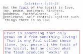 Galatians 5:22-23 But the fruit of the Spirit is love, joy, peace, patience, kindness, goodness, faithfulness, 23 gentleness, self-control; against such.