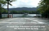To reach Cape Tribulation we need to cross the Daintree River by Ferry.
