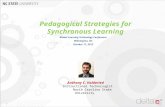 Pedagogical Strategies for Synchronous Learning Global Learning Technology Conference Wilmington, NC October 11, 2013 * Anthony C. Holderied Instructional.
