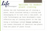 Welcome to modern plant cloning Unlike the old fashioned way of cloning a plant, which involved taking a cutting and encouraging it to turn into a new.