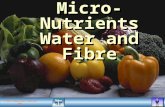 © ORCA Education Limited 2005 Micro-Nutrients Water and Fibre New Words.
