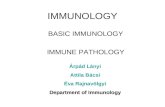 IMMUNOLOGY BASIC IMMUNOLOGY IMMUNE PATHOLOGY rpd Lnyi Attila Bcsi ‰va Rajnav¶lgyi Department of Immunology