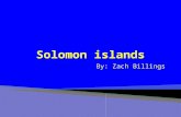 By: Zach Billings. Solomon islands has a land religion, it has mountainous areas, beaches, and rainforests. Solomon islands has one land religion, it.