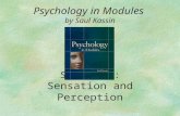 Section 3: Sensation and Perception Psychology in Modules by Saul Kassin.