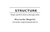 STRUCTURE  Riccardo Negrini riccardo.negrini@unicatt.it.