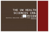 THE UW HEALTH SCIENCES IRB S OVERVIEW PRACTICAL REGULATORY ISSUES IN HUMAN SUBJECTS RESEARCH.