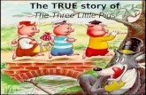 The TRUE story of The Three Little Pigs. Characters The First Little Pig- Built his house out of straw The Second Little Pig- Built his house out of sticks.