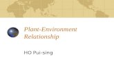 Plant-Environment Relationship HO Pui-sing. Contents Development of Plants Equatorial / Tropical Rain Forest Tropical Desert Vegetation Local Plant-Environment.