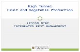 LESSON NINE: INTEGRATED PEST MANAGEMENT High Tunnel Fruit and Vegetable Production