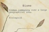 Biome Climax community over a large geographical area. Ecological.
