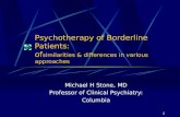 1 Psychotherapy of Borderline Patients: of similarities & differences in various approaches Michael H Stone, MD Professor of Clinical Psychiatry: Columbia.